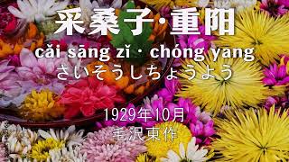 【日中字幕・ピンイン】采桑子·重阳 朗诵　さいそうし・ちょうよう　毛沢東詩詞