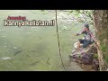 Nemu spot surga-Nya pemancing di pedalaman hutan Kalimantan