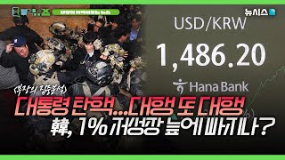 대통령 탄핵, 대행 또 대행…대한민국 1% 저성장 늪에 빠지나? [부먹뉴스]