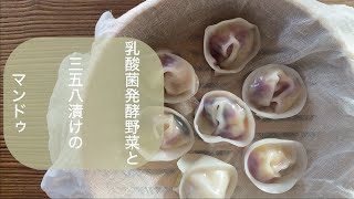 【発酵マンドゥ 만두】〜乳酸菌発酵野菜と三五八漬けの韓国蒸し餃子〜