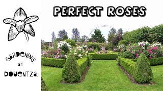 Garden Tour || Perfect Roses \u0026 Growing Tips || Kilgar Gardens