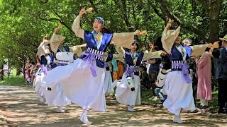 よさこい踊り：よさこいチーム八鹿【長居植物園 de EXPOよさこい2025×高知県マルシェ】