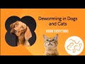 Achak aro menggoko deworming ka.ani (Deworming in dogs and cats)