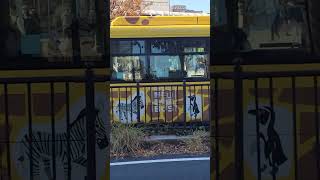 横浜市営バス　８ー３９０９号車　ぶらり野毛山動物園BUS　８９系統　一本松小学校行　桜木町駅　桜木町駅バスターミナル到着　#横浜市営バス #野毛山動物園 #日野 #桜木町 #hino #shorts