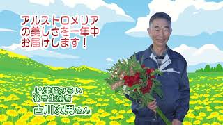 2022年12月16日放送「Fresh Vegetable」旬の青森県産アルスロトメリアを紹介～JA津軽みらいより～