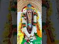 ✨🦚🙏முருகன் துணை🙏🦚✨🙏முருகா🙏✨ tamil muruganthunai muruganthunnai shortvideo