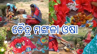 ଚୈତ୍ର ମଙ୍ଗଳା ଓଷା || Chaitra Mangala Osha @simplelifestyleodiavlog588