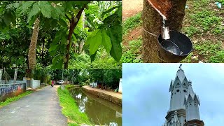 Exploring Thuckalay 😍|| Kanyakumari || Tamil Vlogs