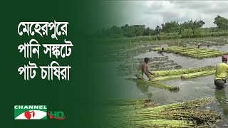 মেহেরপুরে পানি সঙ্কটে পাট চাষিরা