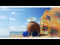 Smooth House Vibes - Summer Mix