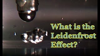 What is the Leidenfrost Effect?