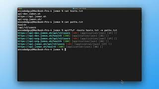apiffuf: This tool fixes your messy API URLs instantly