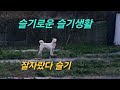 슬기 반듯하게 잘 자랐어요ㅡ슬기로운 슬기생활