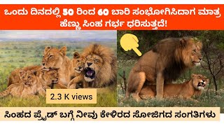 ಆಫ್ರಿಕಾ ಸಿಂಹದ ಸೋಜಿಗದ ಸಂಗತಿಗಳು🦁🦁/Africa Lion Interesting Things🦁🦁