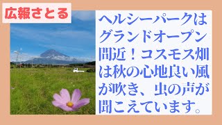 広報さとる　No.12「ヘルシーパークはグランドオープン間近！コスモス畑は秋の心地よい風が吹き、虫の声が聞こえています。」