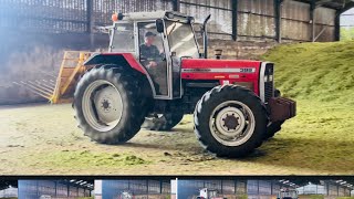 Massey Ferguson 399 Silage Pit Duties