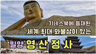 기네스북에 등재된 세계최대 \