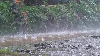 Heavy rain in mundakayam