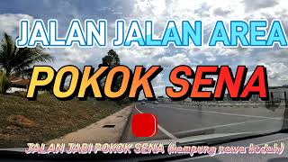 TKi,# RENTAS AREA JABI POKOK SENA#JALAN RAYA BARU,CANTIK, 4K