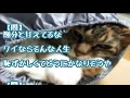 【ひきこもり】ニート生活１０年目だけど、質問ある？？【無職】