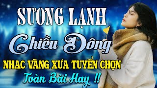 SƯƠNG LẠNH CHIỀU ĐÔNG ✅ MAI TIẾN ĐẠT ✅ NHẠC CHỌN LỌC NGỌT LIM TIM TOÀN BÀI HAY 2024