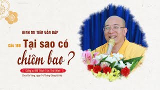 Tại Sao Có Chiêm Bao? | Kinh Mi Tiên Vấn Đáp - Câu 168 | Thầy Thích Trúc Thái Minh