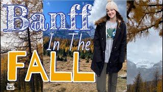 Travel to BANFF in the Fall (LARCH VALLEY) // VLOG 🍂🥾🌿