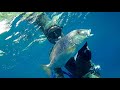 ψαροτούφεκο στην Κεφαλονιά🦈 spearfishing moments kefalonia