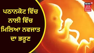 Punjab News : ਪਠਾਨਕੋਟ ਵਿੱਚ ਨਾਲੀ ਵਿੱਚ ਮਿਲਿਆ ਨਵਜਾਤ ਦਾ ਭਰੂਣ | PATHANKOT | NEWS18 PUNJAB