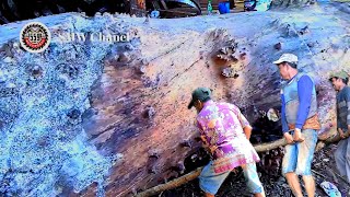 Cutting and Splitting Wood // Sawing Long Teak Trees at the Sawmill