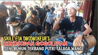 KOKOSODAN -SKILL PEREUSS DOGDOG AA EGA  💥 SENI TERBANG BUHUN PUTRI TALAGA WANGI | DI BUNI HERANG