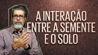 A interação entre a semente e o solo | Helio Peixoto | #3