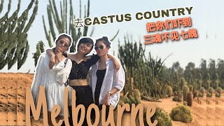 ✈AUSTRALIA TRAVEL VLOG #17-18| CACTUS COUNTRY发生了什么事？吓坏他们了 | 墨尔本仙人掌园 | 收到我最想要的礼物  | 结束了我们澳洲之旅 |