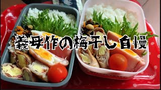 美味し過ぎる義母の手作り梅干しを使った学童弁当。初めてのハムエッグ