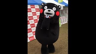 くまモンぬいぐるみを抱っこして可愛いモン☆ゆるキャラグランプリ2015浜松