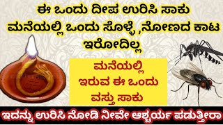 ಈ ದೀಪ ಉರಿಸಿ ಸಾಕು ಒಂದು ಸೊಳ್ಳೆ ನೊಣ ನಿಮ್ಮ ಮನೆಯಲ್ಲಿ ಇರೋದಿಲ್ಲ | How To Get Rid Of Mosquitoes Naturally