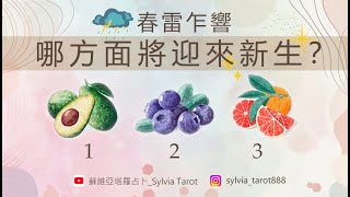 大眾占卜🔮｜春雷乍響 哪方面將迎來新生？｜🍀財務豐盛 轉換新生 靈性成長｜無時間限制｜CC字幕