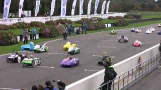 Silesian Greenpower - Goodwood 2014