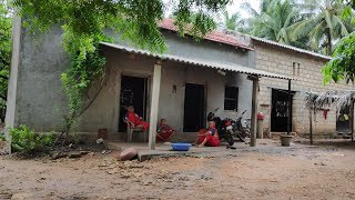 Village life Gujarat Gir kathiyavad natural and green farm my home coconut trees