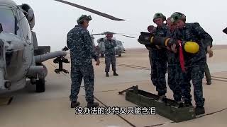 中国激光武器，在沙特一战成名，击落无人机如同拍苍蝇