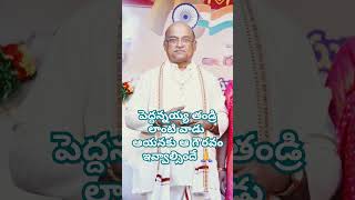 పెద్దన్నయ్య తండ్రిలాంటి వాడు. ఆయనకు ఇవ్వవలసిన గౌరవం ఇవ్వాలిందే #garikapaatiadvice #గరికపాటిసూచన