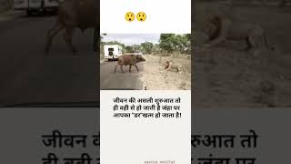 jindagi daav per Motivational videos/short 😲😲😲😲💯💯💯💯🔥🔥🔥🔥