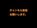 殺傷能力抜群の殺虫剤で蟻を駆除してみた。