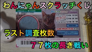 【スクラッチくじ】７７７人登録ありがとうございます。わんにゃんスクラッチくじで７７枚調査していきます