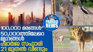 ഷാര്‍ജ സഫാരി 21 മുതല്‍ വീണ്ടും l sharjah safari announces reopening date