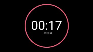 17 Second Countdown Timer / iPhone Timer Style