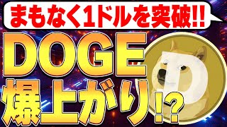 まもなく1ドルを突破🚀DOGE爆上がりか！？🐕【ドージコイン】【SHIB】【シバイヌ】【柴犬】【仮想通貨バブル】【BTC】【ビットコイン】【ETH】【イーサリアム】【SOL】【Solanaソラナ】