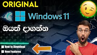 How To Download And Install Windows 11 | Original | TechMart LK