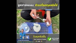 สูตรป้องกันและกำจัดแมลงศัตรูพืชด้วยเครื่องปรุง #กำจัดแมลง #เครื่องปรุง #แนวทางเกษตร #อนิติ