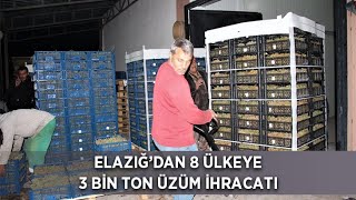 Elazığ'dan 8 Ülkeye 3 Bin Ton Üzüm İhracatı